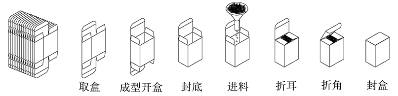 立式裝盒機裝盒流程.gif